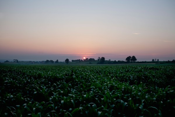 USA, New York State, Farmland at sunset. Photo : Winslow Productions