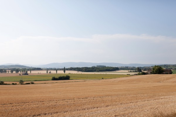 France, Drome, Grignan, Rural landscape. Photo: Jan Scherders
