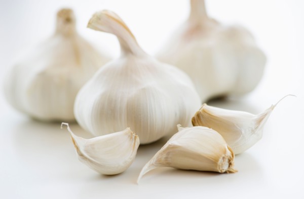 Studio shot of fresh garlic.