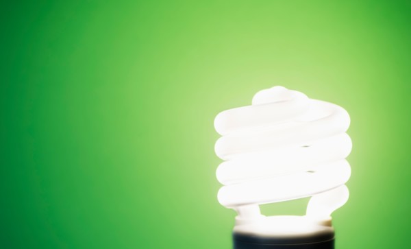 Studio shot of energy efficient lightbulb on green background.