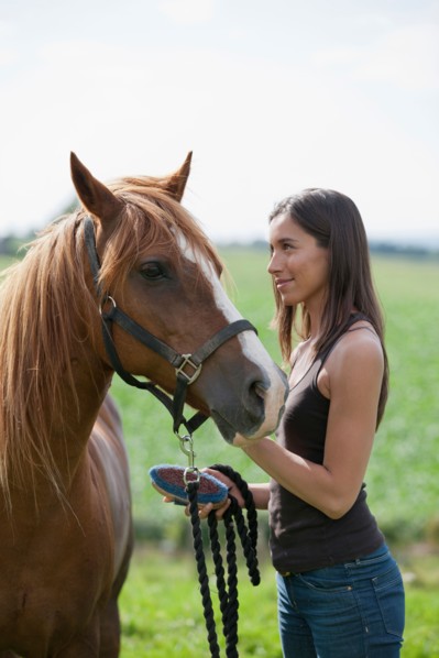 Young woman taking care of horse. Photo : Jan Scherders