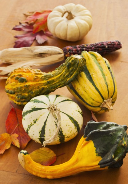 Colorful gourds, studio shot.