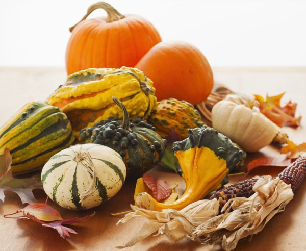 Variety of pumpkins, studio shot.