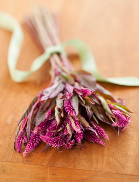 Bunch of purple Eremurus on wooden table.