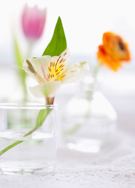 Still life with fresh flowers in vases.
