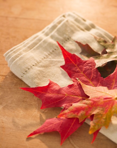 Colorful autumn leaves on napkin. Photo: Daniel Grill