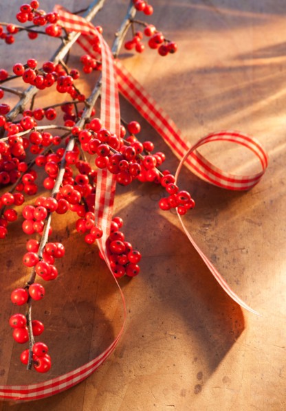 Winter berry branch. Photo: Daniel Grill