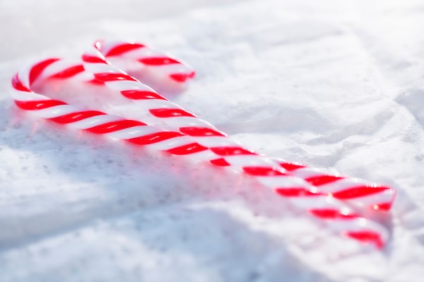 Christmas candy canes. Photo : Daniel Grill
