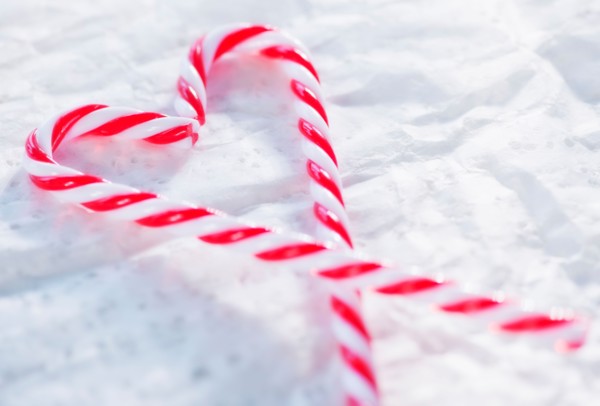Christmas candy canes. Photo : Daniel Grill