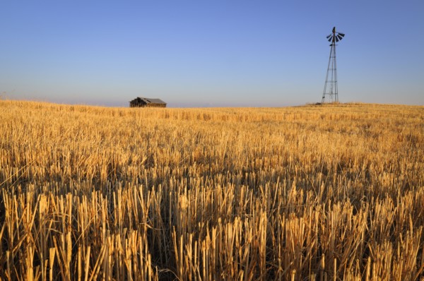 USA, Oregon, Wosco county, Rural scene with solitary barn. Photo : Gary Weathers