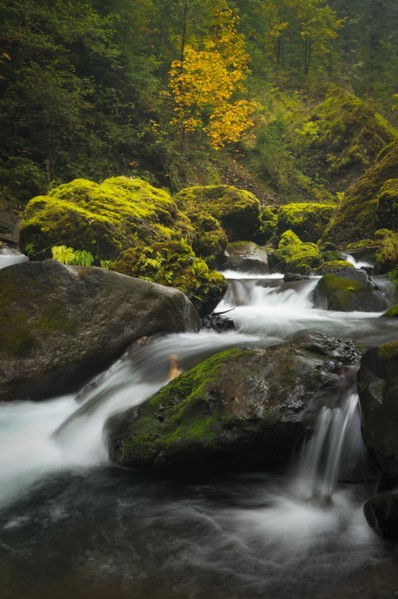 USA, Oregon, Eagle Creek. Photo: Gary Weathers