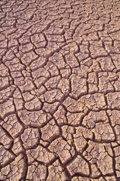 Mexico, Baja California, Dry lake bed. Photo : DKAR Images