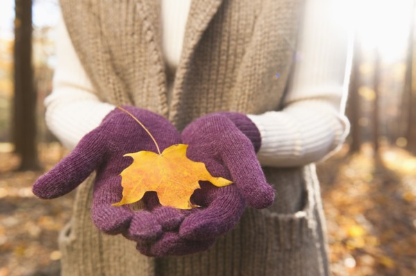 USA, New Jersey, Woman holding leaves in Autumn forest, mid section. Photo: Tetra Images