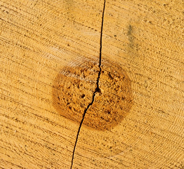 Close-up of cracked wood.