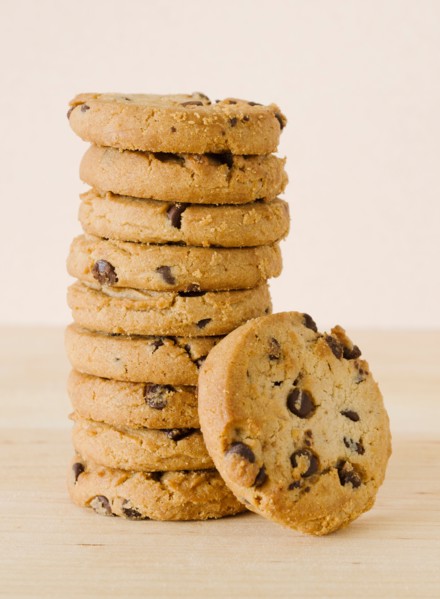 Close up of chocolate chip cookies, studio shot.
