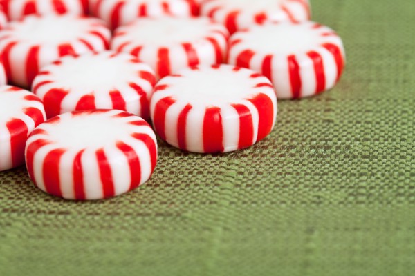 Red and white candies, studio shot. Photo : Sarah M. Golonka