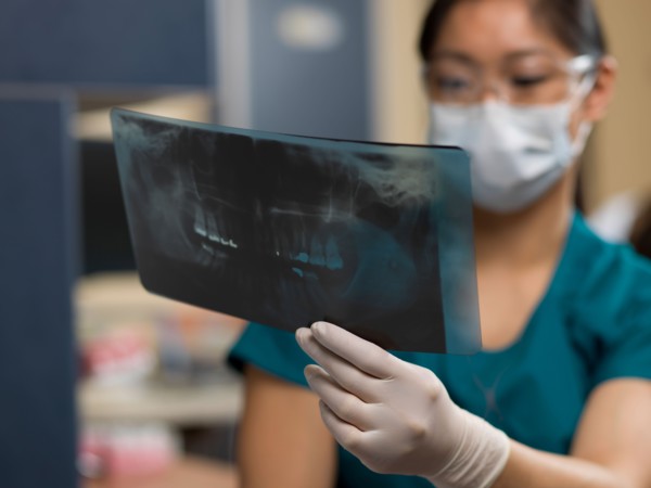 Dentist checking x-ray image. Photo : Dan Bannister