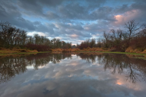 USA, Oregon, Marion County, Trees and clouds reflecting in lake. Photo : Gary Weathers