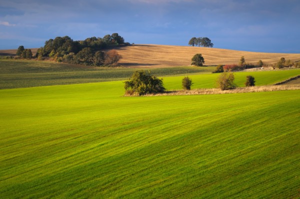 USA, Oregon, Polk County, View of green hills. Photo : Gary Weathers