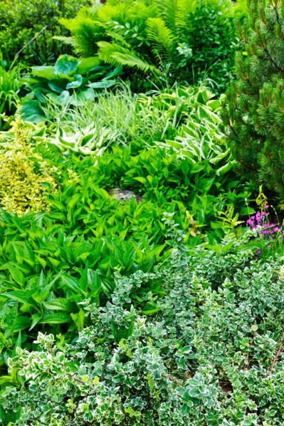 View of garden. Photo :  Elena Elisseeva