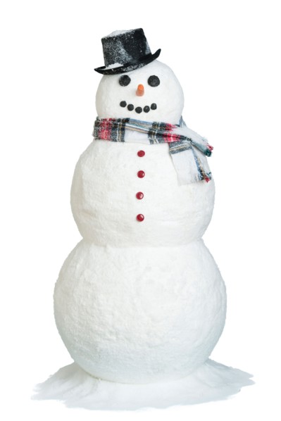 Studio shot of snowman.
