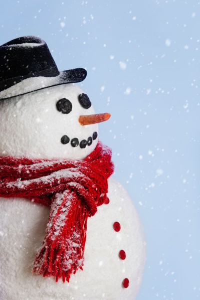 Studio shot of snowman.