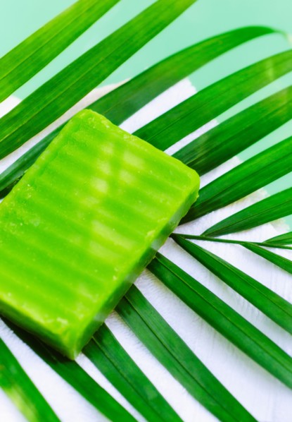 Soap and palm leaf.