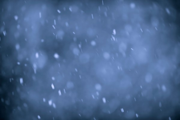 Snowflakes. Photo : Elena Elisseeva