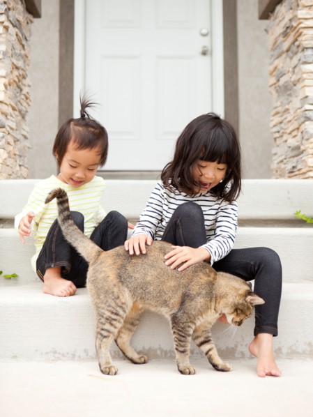 Two sisters (2-3, 4-5) playing with cat. Photo : Jessica Peterson