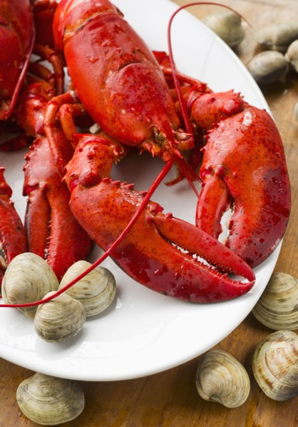 Cooked lobster.