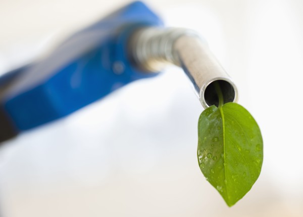 Fuel nozzle with green leaf.