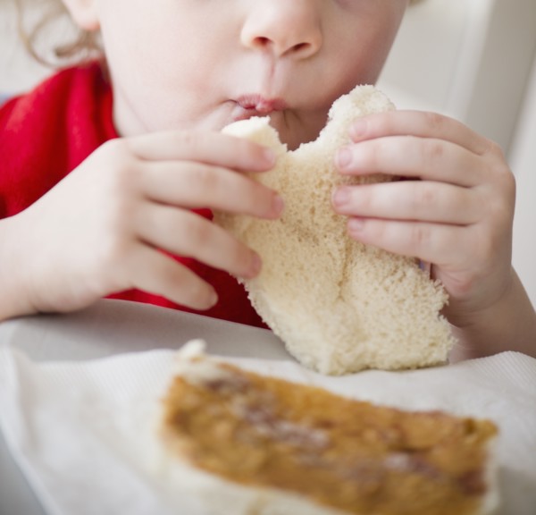 Girl (2-3) eating sandwich. 
Photo: Jamie Grill
