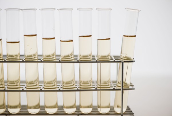 Liquid in test tubes. 
Photo : Jamie Grill