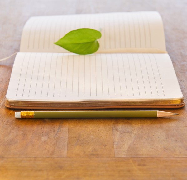 Close up of leaf lying on open notebook, studio shot. 
Photo: Daniel Grill