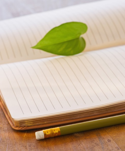 Close up of leaf lying on open notebook, studio shot. 
Photo : Daniel Grill