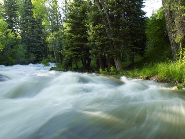 USA, Colorado, Mountain creek in forest. 
Photo : John Kelly