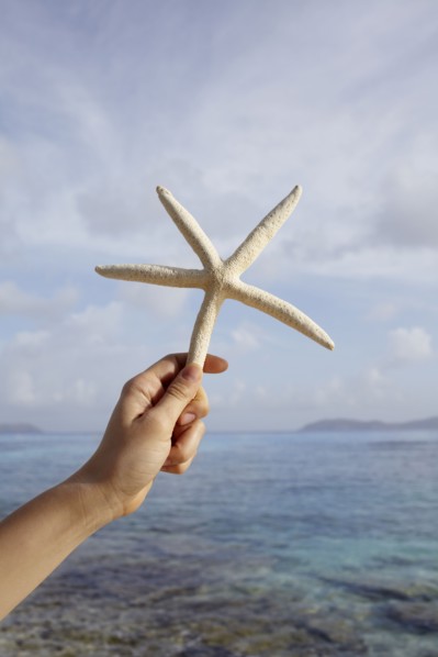 United States Virgin Islands, St. John, Starfish held by female hand. 
Photo: Winslow Productions