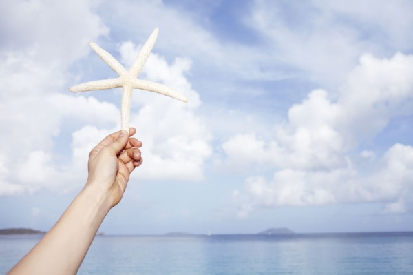United States Virgin Islands, St. John, Starfish held by female hand. 
Photo : Winslow Productions