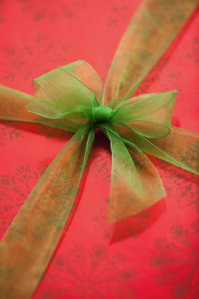 Close-up of ribbon on gift wrap. 
Photo: Mike Kemp