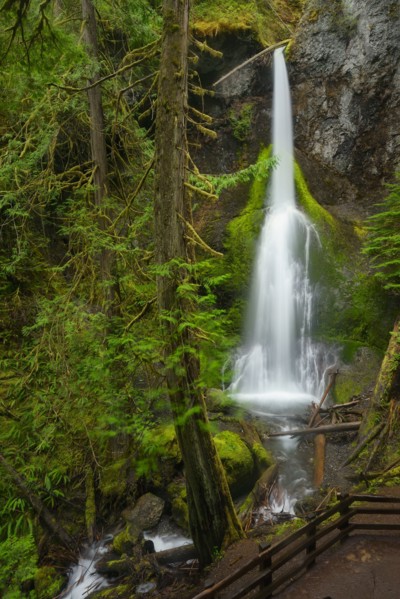 USA, Washington, Olympic National Park, Marymere Falls. 
Photo : Gary Weathers