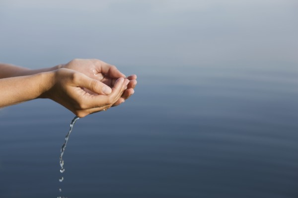 Cupped hands holding water from lake. 
Photo : Jan Scherders