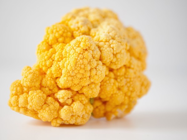 Yellow cauliflower on white background. 
Photo : Jessica Peterson