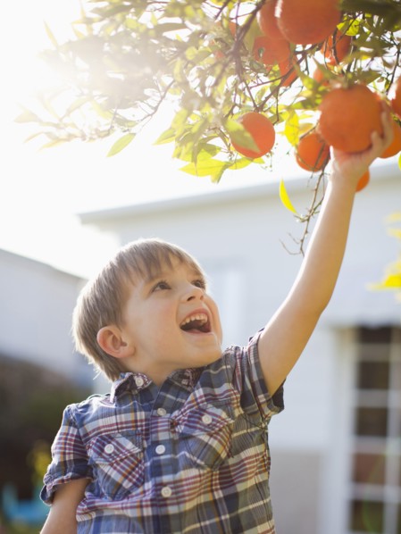 Happy young boy (6-7) reaching for fresh orange. 
Photo : Jessica Peterson
