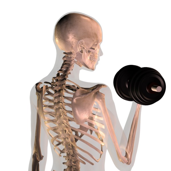 Conceptual image showing human skeleton doing workout. 
Photo: Calysta Images