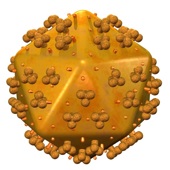 Conceptual image showing human body cell. 
Photo : Calysta Images