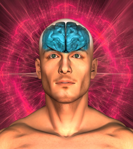 Digitally generated image of human head with inner human organs visible. 
Photo: Calysta Images