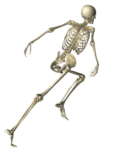 Digitally generated image of running human skeleton. 
Photo : Calysta Images