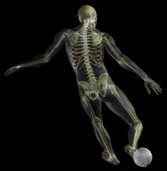Digitally generated image of human representation playing soccer ball with human skeleton visible.