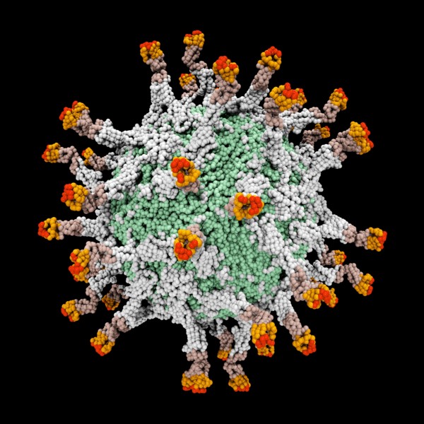 Digitally generated image of 3D molecular model of polio virus. 
Photo: Calysta Images