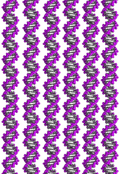 Digitally generated image of helix structure. 
Photo: Calysta Images